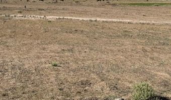 54 County Road 8001, Concho, AZ 85924
