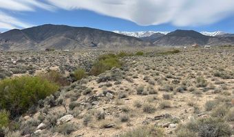 740 CHIATOVICH CREEK Rd, Dyer, NV 89010
