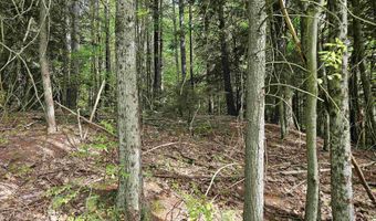 Province Road lot 26, Belmont, NH 03220