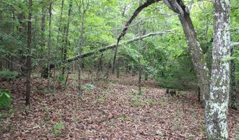 E Mountain Road, Bee Branch, AR 72013