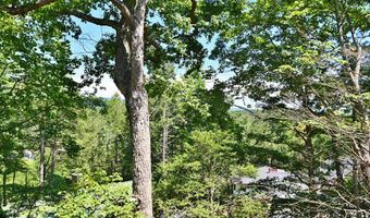 1034 GREENVIEW, Basye, VA 22810