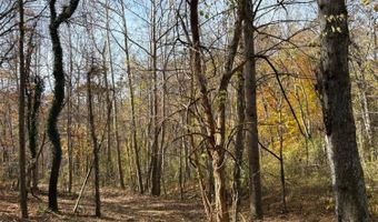 9- A Dulwich Dr, Amherst, VA 24521