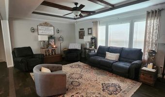 786 Blackberry Rd, Baconton, GA 31716