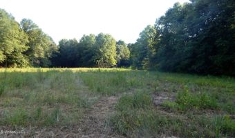 590 247 Country Rd, Bruce, MS 38915