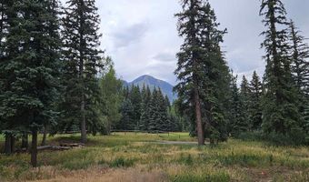 1229 W Vallecito Creek Rd, Bayfield, CO 81122