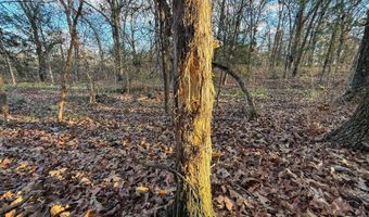 8667 W Hardwood Rd, Atoka, OK 74525