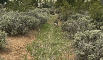 Off Vista Lejos, Arroyo Seco, NM 87514