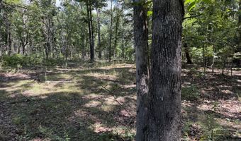 1767 Ff Hwy, Alton, MO 65606