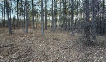 00 LIGHTHOUSE Pt, Lincolnton, GA 30817