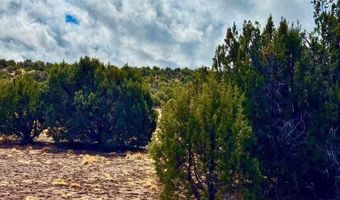Tbd Co Rd 8256 Lot E 10 Acres, Concho, AZ 85924