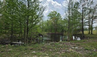 17811 Puckett Rd, Alexander, AR 72002