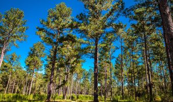 6355 Cobbham Rd, Appling, GA 30802