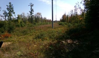 V/L 30AC Lake Winyah Road, Alpena, MI 49707