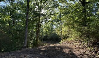226 Ferrell Rd, Ashland, MS 38603