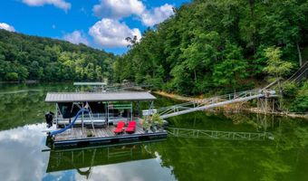 447 COUNTY ROAD 4028, Arley, AL 35541