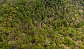 Tbd9999 Wentworth School Road, Beattyville, KY 41311