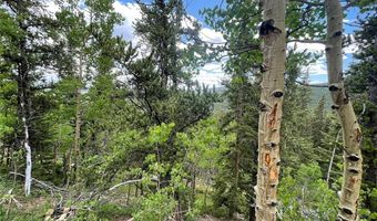 847 COUNTY ROAD 787, Alma, CO 80420