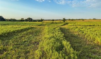 225 County Road 1475, Alvord, TX 76225