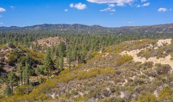 60833 Table Mountain Rd, Mountain Center, CA 92561