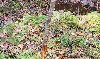 290 Angels Pass Dr Lot 1, Bastian, VA 24314