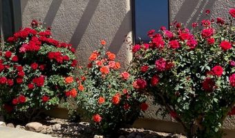 1426 S FOUDY Rd, Bisbee, AZ 85603