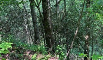 88 Acres Bolden Br, Andrews, NC 28901