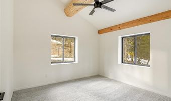 148 N Aspen St, Alma, CO 80420