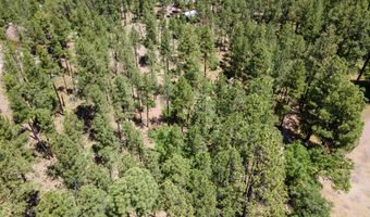 13 County Road N 2122, Alpine, AZ 85920