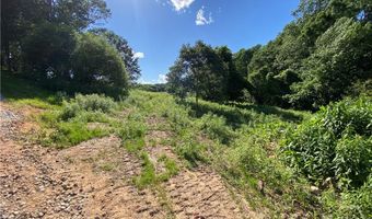 Tract 2 Hwy 51S, Homer, GA 30547