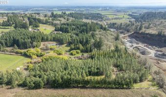 Three Trees Ln, Amity, OR 97101