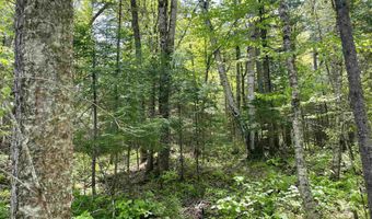 Mountain Road, Burke, VT 05832