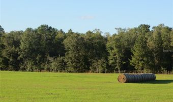 9714 NW 236TH Ter, Alachua, FL 32615