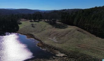 46088 HIGHWAY 77 Lot 0, Ashland, AL 36251