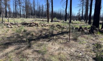 Zebu Lane 2, Bonanza, OR 97623