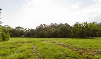 235 Woodrow Martin Rd, Brandon, MS 39042