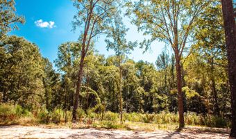 555 Rabbit Pen Dr, Appling, GA 30802