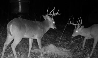Williams Road, Bald Knob, AR 72010