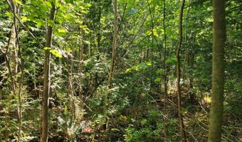 B-2BackLot Pioneer Path, Aurora, ME 04605