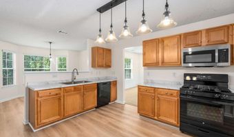 4849 Lily Stem Dr, Auburn, GA 30011