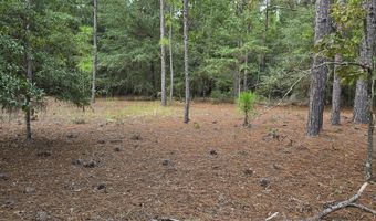 317 R J Johnson Rd, Allendale, SC 29810