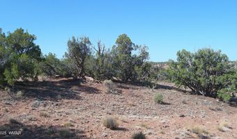 Tbd Wicked Sisters Way 38ac, Concho, AZ 85924
