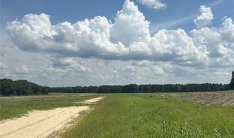 216 County Road 201 Rd, Ariton, AL 36010