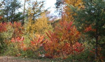 3 Beechwoods Dr Lot 3, Bartlett, NH 03845