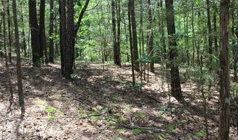 5 E 1909 Rd, Antlers, OK 74523