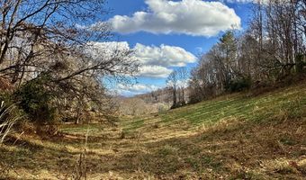 1520 Brittontown Rd, Afton, TN 37616