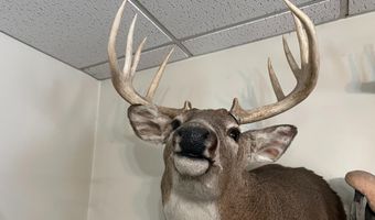 27450 SW 32nd Rd, Beatrice, NE 68319