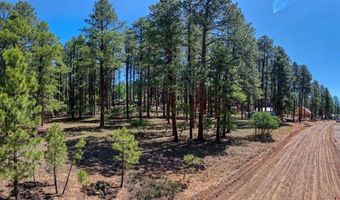 79 Spruce Way, Bayfield, CO 81122