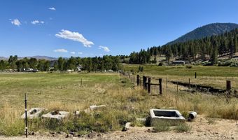 565 Jackson Ranch Rd, Gardnerville, NV 89460