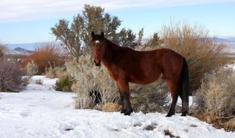 Sir Turner Drive APN # 095-01-711-034, Cold Creek, NV 89124