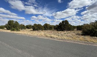 5 Clubhouse Ln, Concho, AZ 85924